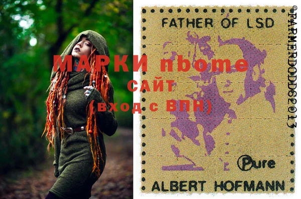 крисы Осташков