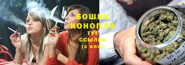 крисы Осташков